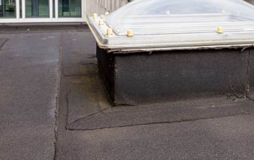 disadvantages of Pant Y Crug flat roofs