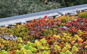 the cost of Pant Y Crug green roof installation