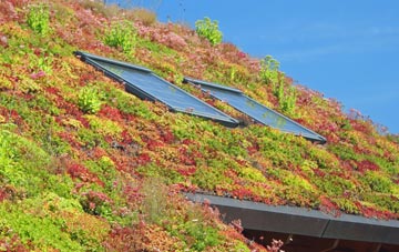 Pant Y Crug living roof systems