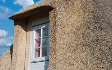 Pant Y Crug thatch roof disadvantages